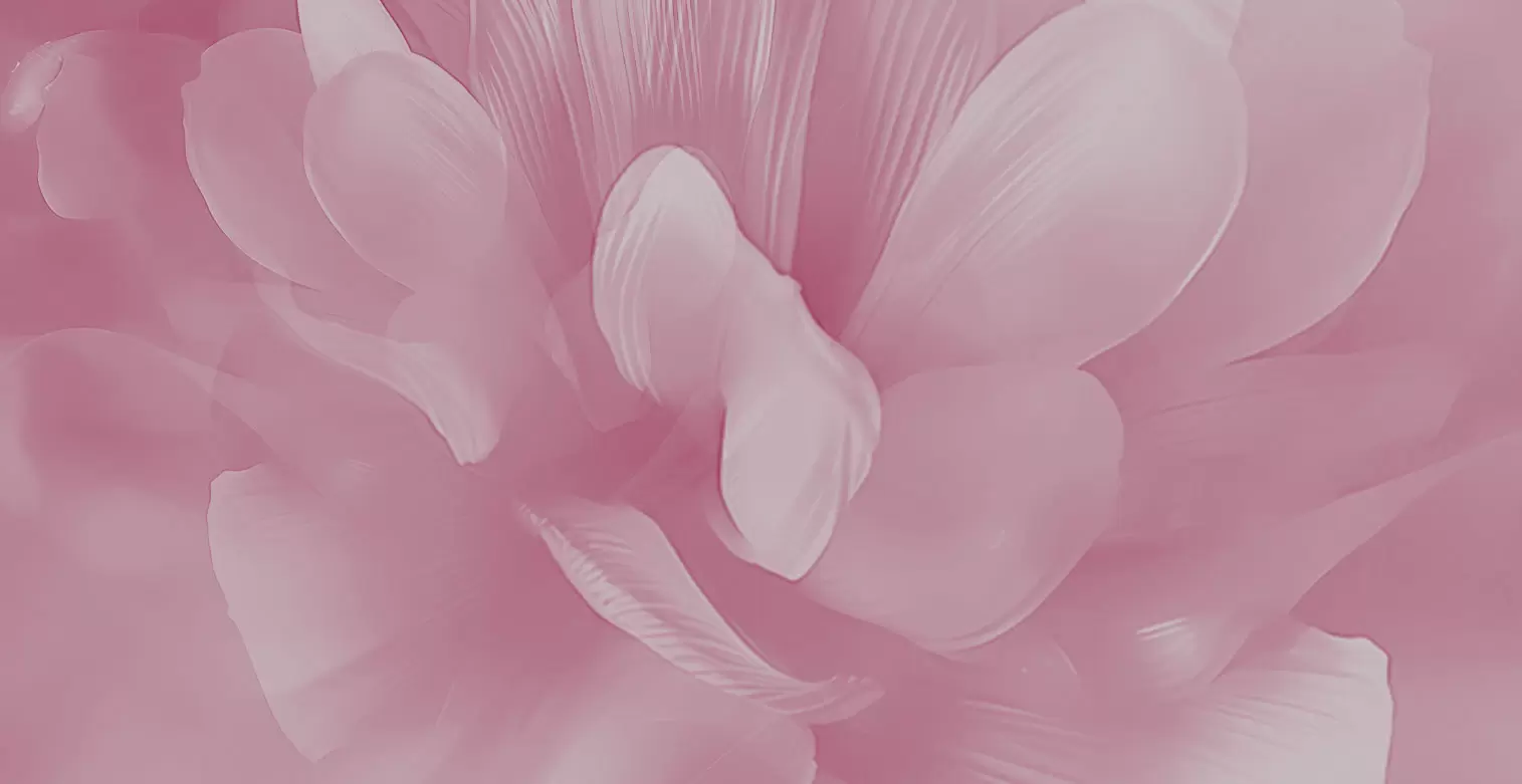 玉彩蓉蓉美焕彩沁颜精华