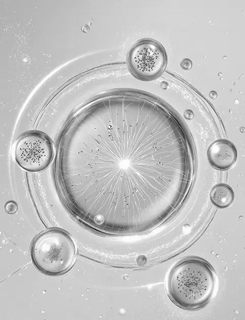 根源控油<sup>2</sup>，长效哑光