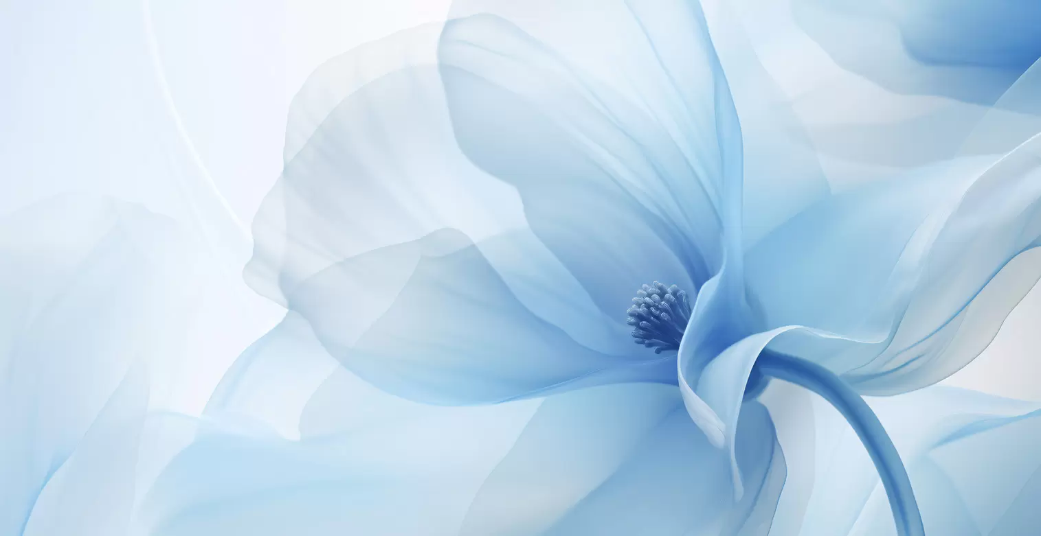 玉彩蓉缮美馥颜修护水